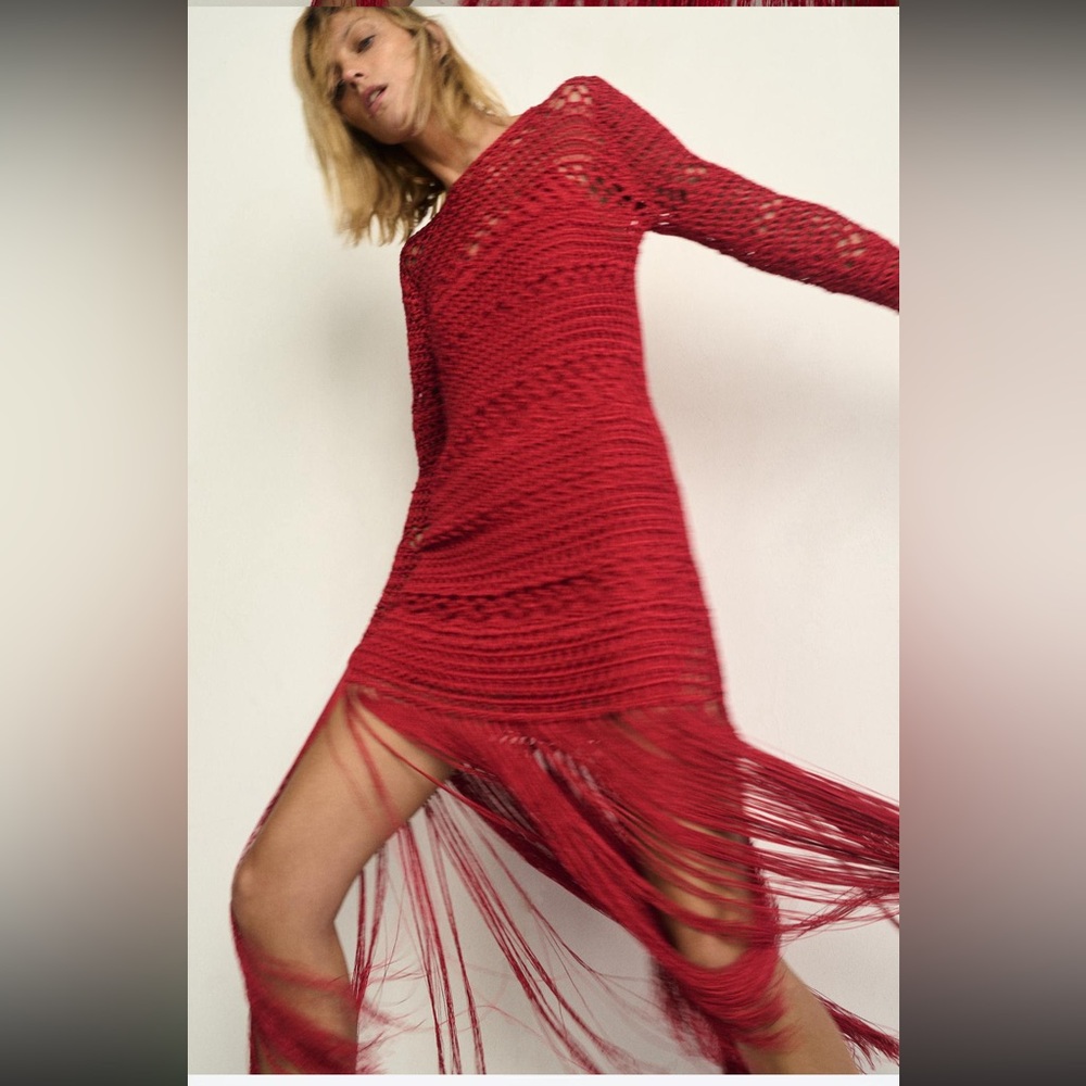 Zara fringed crochet knit dress, limited edition